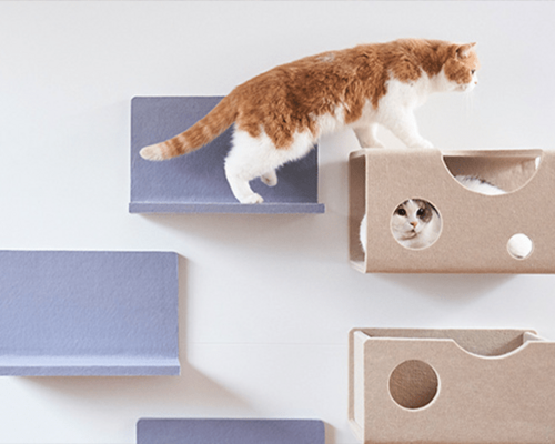 lixil_catwall01